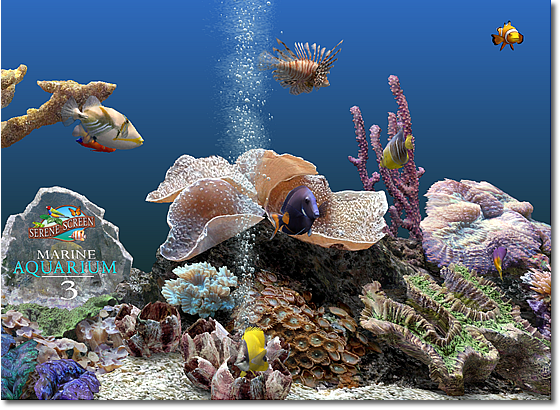 Marine Aquarium’s 3D fish are so realistic, you’ll be tempted to ...